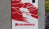Randonnée Marche Münchweiler an der Rodalb - Felsenwald - Photo 10