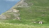 Tour Wandern Saint-Dalmas-le-Selvage - Mercantour : Col des Fourches  - Photo 19