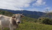 Tour Wandern Larnat - Cap de la Lesse - Photo 6