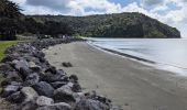 Trail On foot Hibiscus and Bays - Te Araroa - 02 Auckland - f Wenderholm Kayak to Stillwater - Photo 6