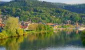 Tour Zu Fuß Miltenberg - Rundwanderweg Miltenberg Heidenschlag 2: Hösch-Hecken-Weg - Photo 3