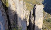 Randonnée Marche Le Rozier - les corniches du Méjean (la Jonte) - Photo 6