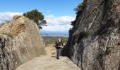 Excursión Senderismo La Garde-Freinet - La Garde Freinet - Photo 1