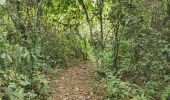 Randonnée Marche Guayaquil - Cerro Azul (Antenas) de ESPOL - Photo 12