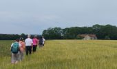 Tour Wandern Vignory - champ de la grange  - Photo 14