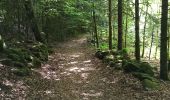 Trail Walking Le Val-d'Ajol - 15-05-22 Outremont  - Photo 5