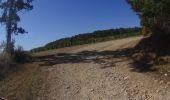 Tour Mountainbike Meursault - VTT a meursault - Photo 2