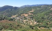 Trail Walking Vallées-d'Antraigues-Asperjoc - Antraigues - Photo 8