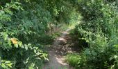 Trail Walking Dinant - De Dinant à Godinne par le GR126 - Photo 15