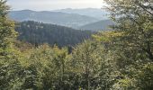 Percorso  Soultzeren - Lac vert gazon du fain lac du forlet - Photo 8