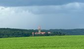 Tour Wandern Kiischpelt - Eislek trail et 01 Kautenbach-Clervaux 25km - Photo 1