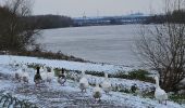 Randonnée Marche Eijsden-Margraten - Eijsden - Oost-Maarland - Eijsder Beemden  - Photo 12