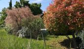 Percorso Marcia Sevrier - Annecy  - Photo 1