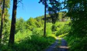 Trail Walking Bièvre - Balade à Bellefontaine - Bièvre - Photo 11