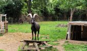 Tour Wandern Vulaines-sur-Seine - De Vulaines sur seine à Livry sur Seine - Photo 5