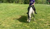 Tour Reiten Zabern - Reconnaissance Saverne Veronique gerber  - Photo 3