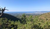Tour Wandern Fréjus - Depuis le pont de la Bécasse  - Photo 10
