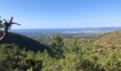 Tocht Stappen Fréjus - Depuis le pont de la Bécasse  - Photo 10