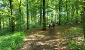 Tocht Stappen Aarlen - Arlon Mesa 250624 - Photo 10