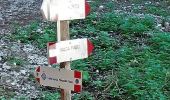 Excursión A pie Malcesine - Sentiero dei Contrabbandieri - Photo 3