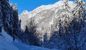 Tour Schneeschuhwandern Pralognan-la-Vanoise - Pralognan Cholière en boucle - Photo 9