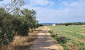 Trail Walking Fontanilles - vieux chemin antique 210723 - Photo 16