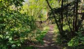 Trail Walking Boulogne-Billancourt - Le bois de Boulogne - Photo 11
