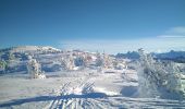 Tocht Ski randonnée Fillière - SOUS DINE - Photo 3