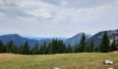 Trail Walking Tržič - veliki vrh 2086 - Photo 14