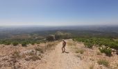 Randonnée Marche La Roque-Alric - Dentelles de Mont Miraille - Photo 3