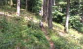 Trail Walking Breitenau - Fouchy  - Photo 3