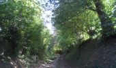Trail Walking Franqueville-Saint-Pierre - 20230928-le faulx - Photo 9