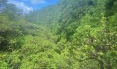 Percorso Marcia Flamengos - FAI GR01 : De volcan en volcan, Faial, Azores - Photo 12