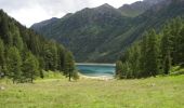 Randonnée A pied Pellizzano - Sentiero di Pian Palù e della Sforzellina - Photo 6