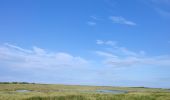Trail Walking La Haye - Surville Carteret - Photo 3