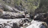 Tour Wandern Lussas - Le canyon de la Louyre - Photo 6