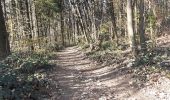 Tocht Stappen Challes-les-Eaux - bois noir-chambotte-néquidé - Photo 3