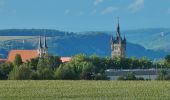 Tour Zu Fuß Bad Wimpfen - Rundwanderweg Bad Wimpfen 1: Auf den Spuren Tilly's - Photo 2