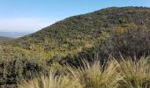 Trail Walking Roquebrune-sur-Argens - ROQUEBRUNE SUR ARGENS - A L'OUEST DE LA FLUTE - Photo 16