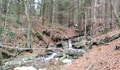 Trail Walking Jalhay - pont de belle heid la vallée de la hoegne - Photo 10