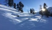 Randonnée Raquettes à neige Orsières - Champex Lac - La Breya - Champex Lac - Photo 10