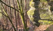 Excursión Senderismo Lutzelbourg - Sentier des Roches et vallée des éclusiers - Photo 18