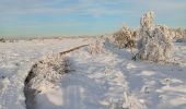 Tocht Stappen Spa - tour de la fagne de Malchamps dans la neige  - Photo 10