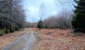 Tocht Stappen Ferrières - bosson . burnontige . lantroule . Le grand trixhe . bosson  - Photo 11