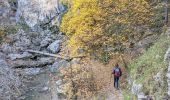 Randonnée Marche Estoublon - gorges de trevans sentier de valbonette - Photo 15