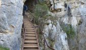 Percorso Marcia Collonges-sous-Salève - Le Coin-Grottes d'Orjobet-La Corraterie-Grande Gorge-Le Coin - Photo 3