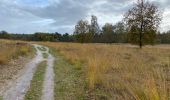 Trail Walking Woensdrecht - Volksabdij kalmthoutse Heide 22 km - Photo 14