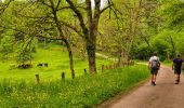 Tocht Stappen Langres - Boucle 32 km autour de Langres - Photo 6