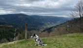 Randonnée Marche Cornimont - Col du Brabant - Roche du Lac via Collet-Masuy - Photo 13