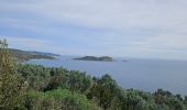 Tour Wandern La Croix-Valmer - Boucle en partant de la plage de Gigaro - Photo 19